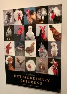We miss you, Extraordinary Chickens!